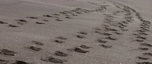 The Foot prints in the black sand. Black sand on the beach. Selective focus