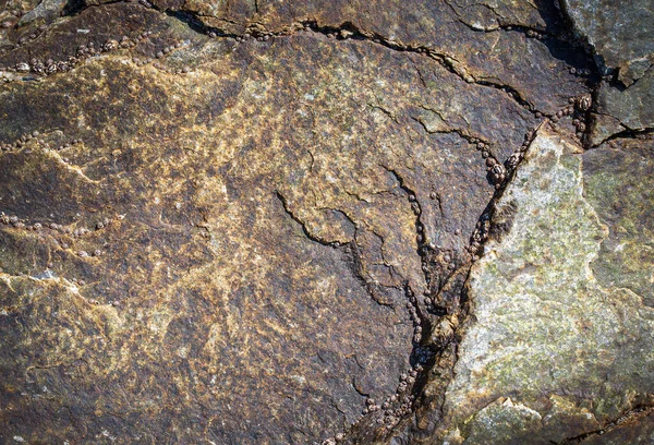 Fondo Textura Piedra Negra Gris Oscuro Enfoque Selectivo —  Fotos de Stock