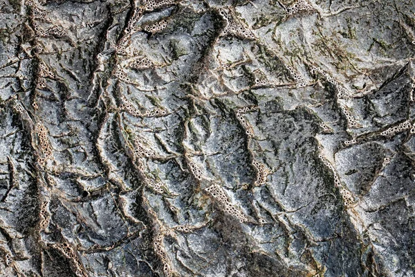 Donkergrijze Zwarte Stenen Achtergrond Textuur Selectieve Focus — Stockfoto