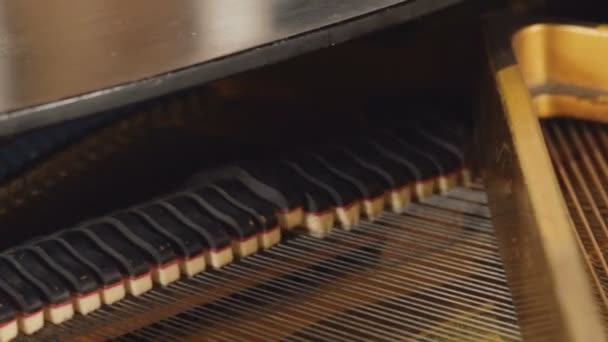 Belső Mechanizmus Zongora Zongora Mechanizmus Zenelejátszás — Stock videók