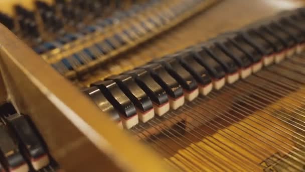 Mecanismo Interno Piano Mecanismo Música — Vídeo de Stock