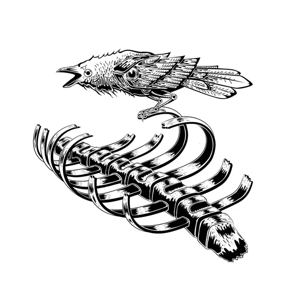Cuervo Negro Pájaro Permanecer Esqueleto Costilla Pájaro Cuervo Arte Anatomía — Vector de stock