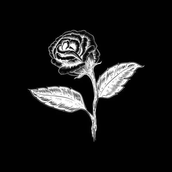 Vacker svart och vit bukett ros och blad. Blommig arrange — Stock vektor