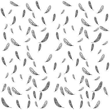 tüy illüstrasyon vektör düşmek. arka plan üzerinde beyaz izole. desen arka plan. dövme tasarım. satır resmi çizim. basit tarzı.