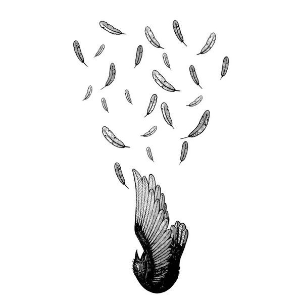 Vogelschnurkunst Fällt Silhouette Isoliert Illustrationsvektor Federstrichkunst Vogel Stirbt Vom Himmel — Stockvektor