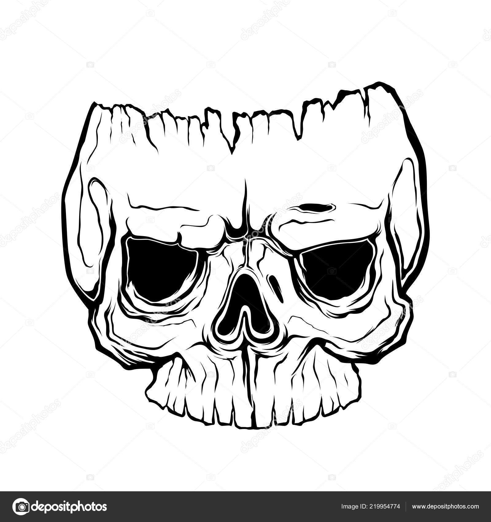 Line Art Skulls Anatomically Correct Human Skull Isolated Hand Drawn