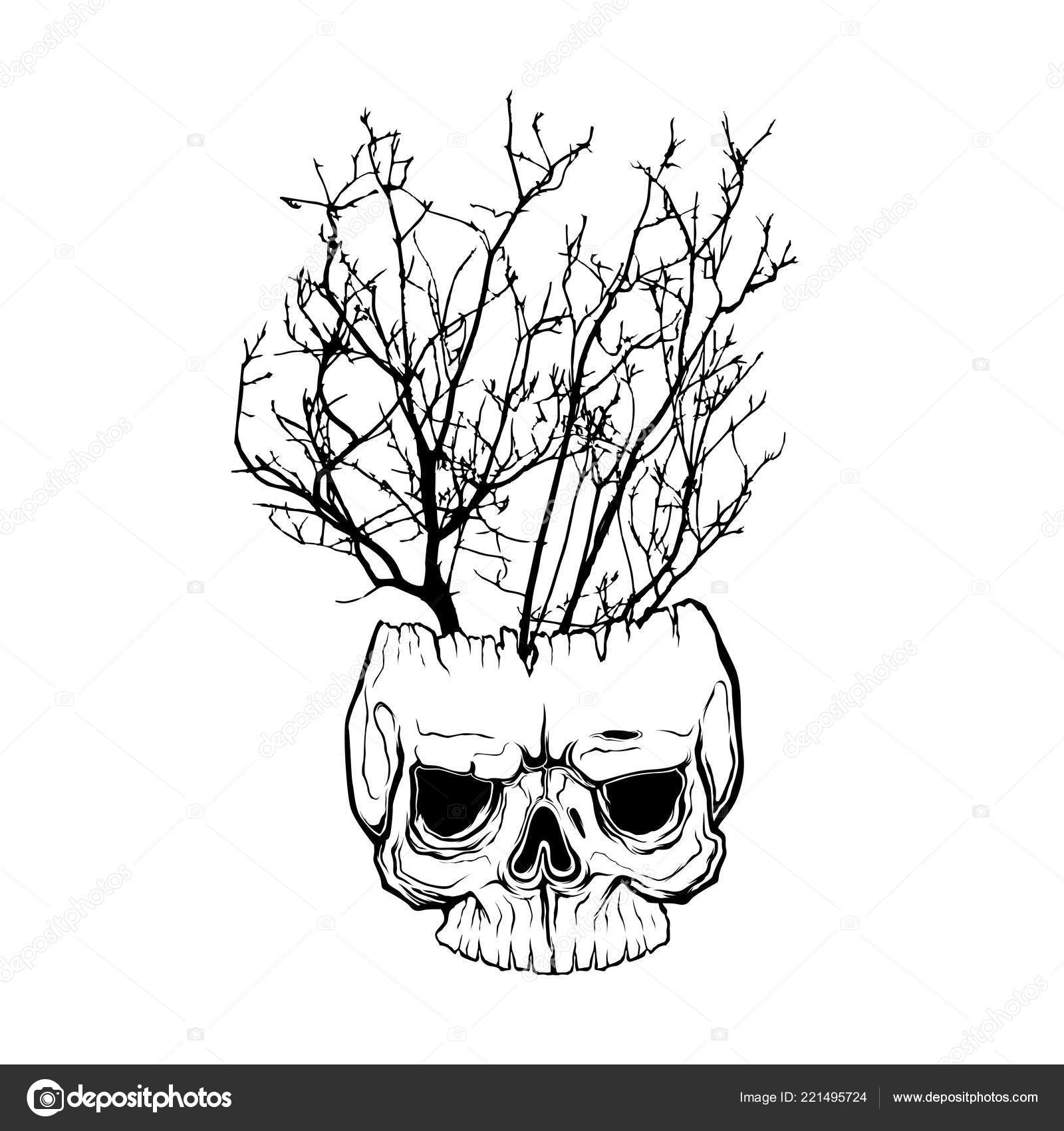 Tree Branch Human Skull Isolated Hand Drawn Line Art Vector Vector Image By C Seemalotion Vector Stock Tree Branch Human Skull Isolated Hand Drawn Line Art Vector Vector Image By C Seemalotion Vector Stock