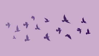 Flying birds silhouettes on white background. Vector illustration. isolated bird flying. tattoo design. clipart
