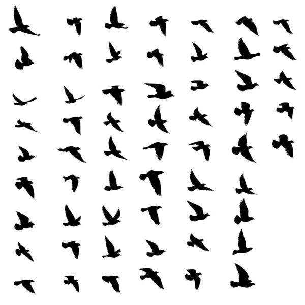 Black Vector Flying Birds Flock Silhouettes Isolated White Background Symbol — Stock Vector