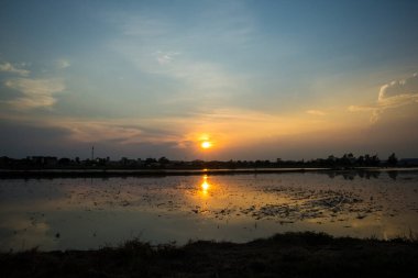 Güneşin erken doğduğu göl manzarası, cennet gökyüzü, siyah ağaç siluetleri. Güzel gölgeler ve bataklık nehri.
