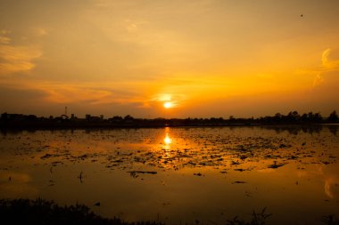 Güneşin erken doğduğu göl manzarası, cennet gökyüzü, siyah ağaç siluetleri. Güzel gölgeler ve bataklık nehri.