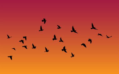 Beyaz arka planda uçan kuş siluetleri. Vektör çizimi. İzole kuş uçuşu. dövme ve duvar kağıdı arkaplan tasarımı.