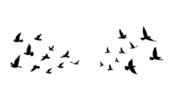 飞鸟在孤立的背景下的轮廓 矢量图解 孤立的鸟儿在飞 纹身和墙纸背景设计 — 图库矢量图片