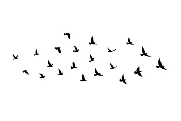 孤立した背景に飛んで鳥のシルエット ベクトルイラスト 隔離された鳥が飛んでる タトゥーと壁紙の背景デザイン — ストックベクタ