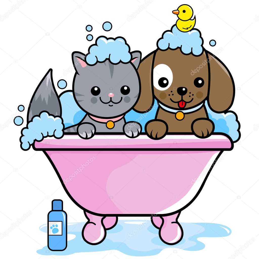 Dog and cat taking a bath