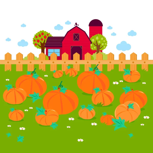Rural Landscape Pumpkin Field Farmhouse Vector Illustration — Stock Vector