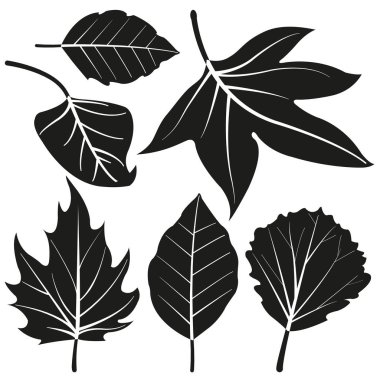 Siyah beyaz ağaç yaprakları. Akçaağaç, huş ağacı ve sonbahar yaprakları. Orman yaprağı silueti. Vektör illüstrasyonu