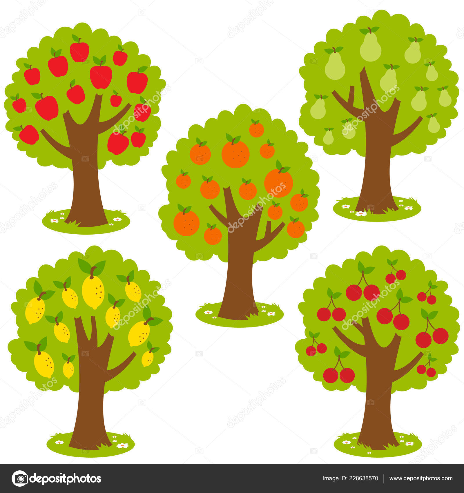 Colección de árboles frutales. Ilustración vectorial Vector de stock  #228638570 de ©stockakia, image size:1600x1700
