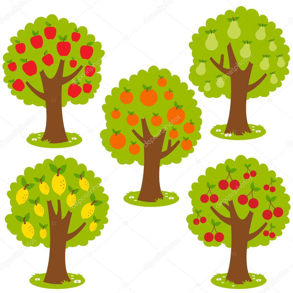 Fruit trees collection. Vector illustration