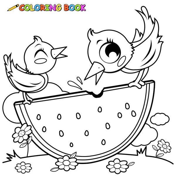 Ilustración Vectorial Aves Comiendo Una Sandía Libro Para Colorear Blanco — Vector de stock