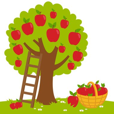 Bir elma ağacı, bir merdiven ve hasat elma sepet vektör çizim. 