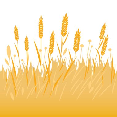 Tarlada yetişen buğday veya arpa gevreğinin arka planı. Yulaf, buğday kulakları tarlayı takip eder. Vektör illüstrasyonu