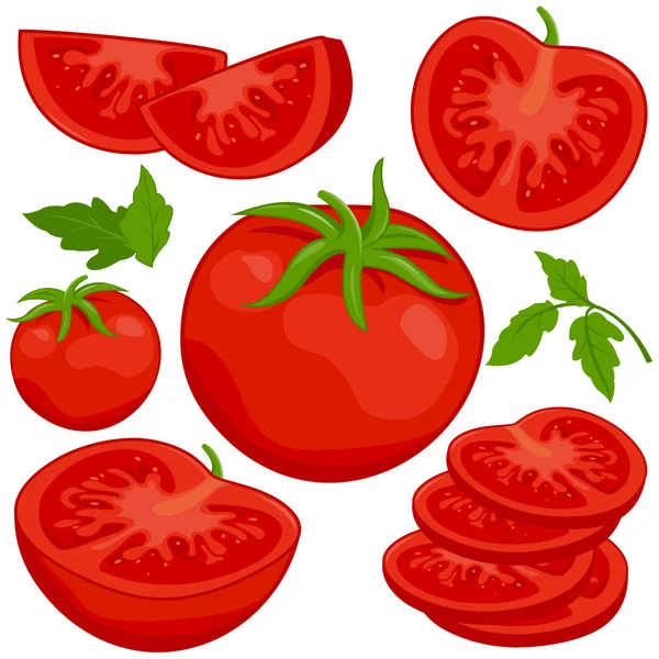 Ilustración Vectorial Tomates Frescos Maduros Enteros Rodajas Sobre Fondo Blanco — Vector de stock