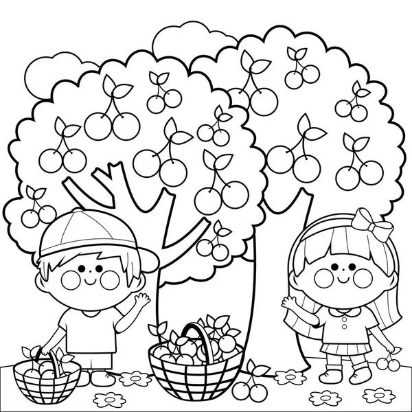 人の子供の黒と白のイラスト 男の子と女の子の桜の下でさくらんぼを摘みをベクトルします 本ページを着色 — ストックベクタ