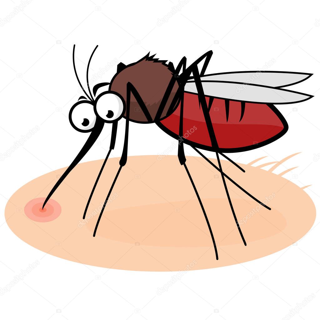 Vector illustration of a cartoon mosquito on human skin sucking blood.