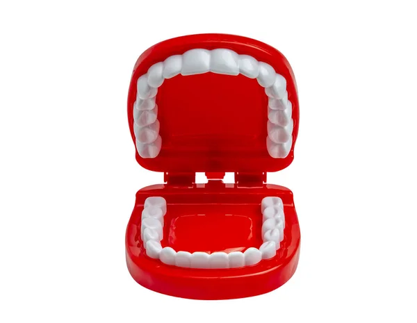 Зуби Іграшки Людини Фоні Щелепи Відкриті — стокове фото