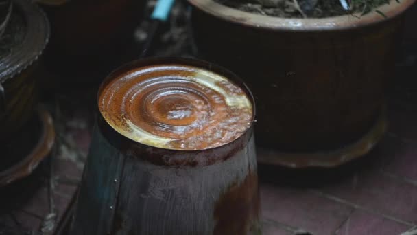 雨落落在老金属桶在花园里 — 图库视频影像