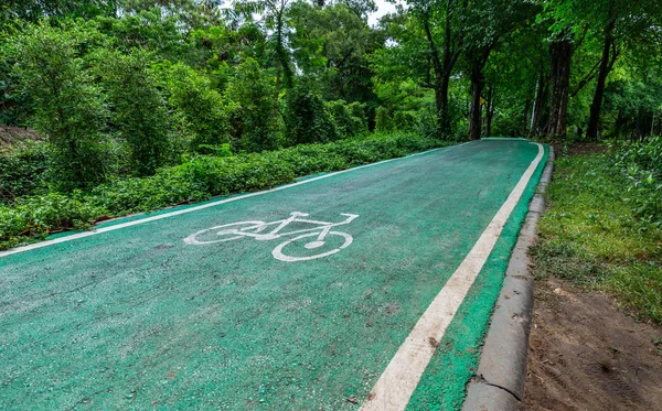 Green bike lane with icon of bicycle. Bike lane in a park.