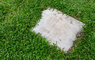 Kare gri çimento arka plan doku çimenlerin üzerinde