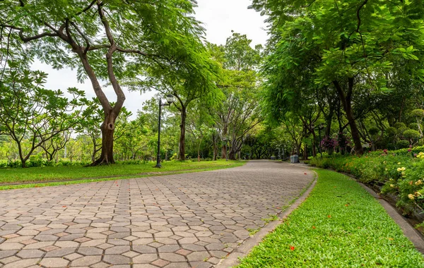 Yürüme veya yolu parkta çalıştırıyor. Düşük açılı görünümü genel Park yolu.