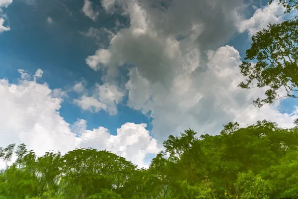 Céu Azul Bonito Com Nuvens Reflexo Árvore Água — Fotografia de Stock