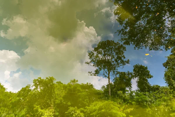 Hermosa Escena Bosque Cielo Azul Con Reflejo Lago Agua Luz — Foto de Stock