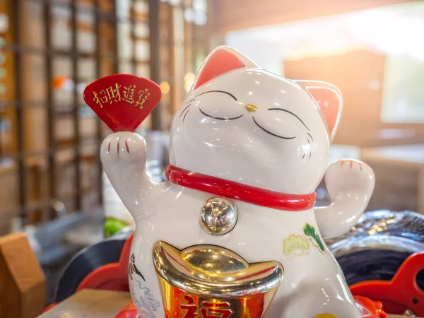 White Japanese Lucky Cat Front Shop Concept Good Business — Stock Photo, Image