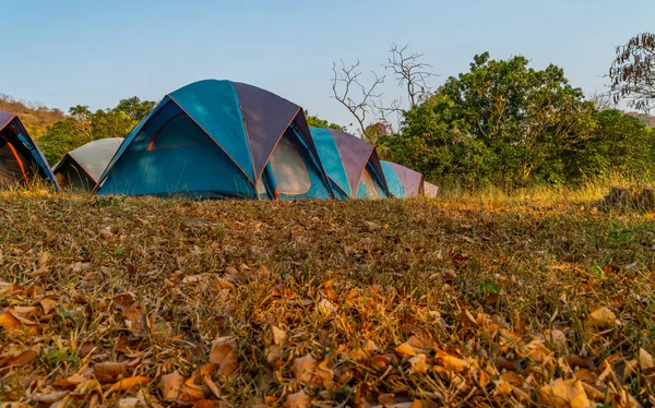 Fila Tienda Camping Vista Ángulo Bajo Acampar Tienda —  Fotos de Stock