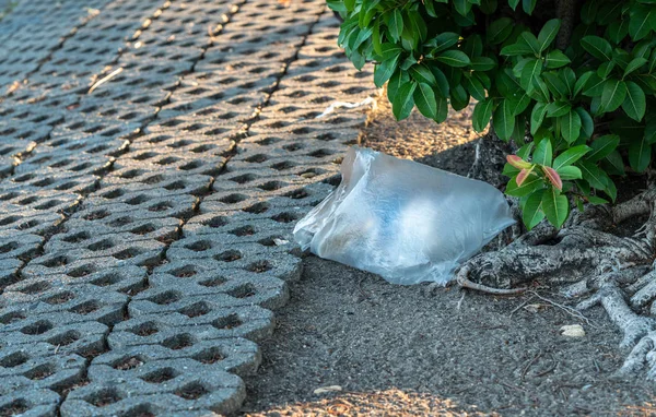 Plastic garbage under a tree — Stock Photo, Image