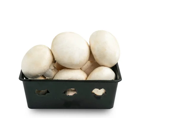 Närbild Ekologisk Färsk Vit Svamp Eller Vit Champignon Svart Plastbehållare — Stockfoto