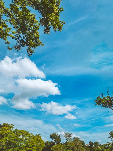 Fotos Verticales Cielo Azul Gran Nube Blanca Flotando Espacio Vacío — Foto de Stock