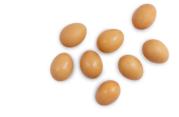 Vista Superior Huevos Marrones Huevos Pollo Colocados Libremente Sobre Fondo — Foto de Stock