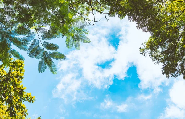 Espacio Blanco Para Texto Diseño Hermoso Cielo Las Nubes Enmarcado — Foto de Stock