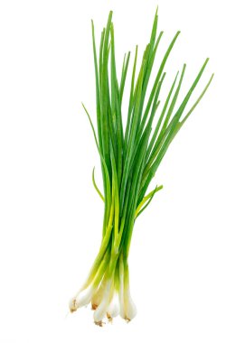 Isolated Scallion or Green onion or Spring onion on white background. clipart