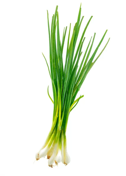 Isolated Scallion Green Onion Spring Onion White Background — Stock Photo, Image