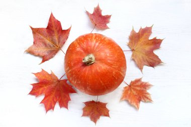 Olgun Turuncu kabak, akçaağaç tarafından çevrili bırakır üstten görünüm / dekorasyon Sonbahar Festivali