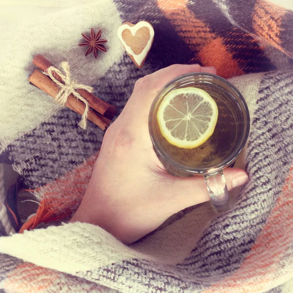 hand holds a lemon tea in a transparent mug on a background of warm blankets top view / meeting weekend in a cozy atmosphere