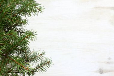 gerçek yeşil ağaç beyaz masa üstü görünümü / Festival kış arka plan