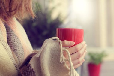 bir battaniye elinde ısınma bir içkiyle kırmızı kupa tamamladı, pencere ve ağaç karşı / rahat iç çevresi