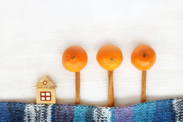 Houten Huis Tuin Van Citrus Bomen Oranje Fantastische Fantasie — Stockfoto